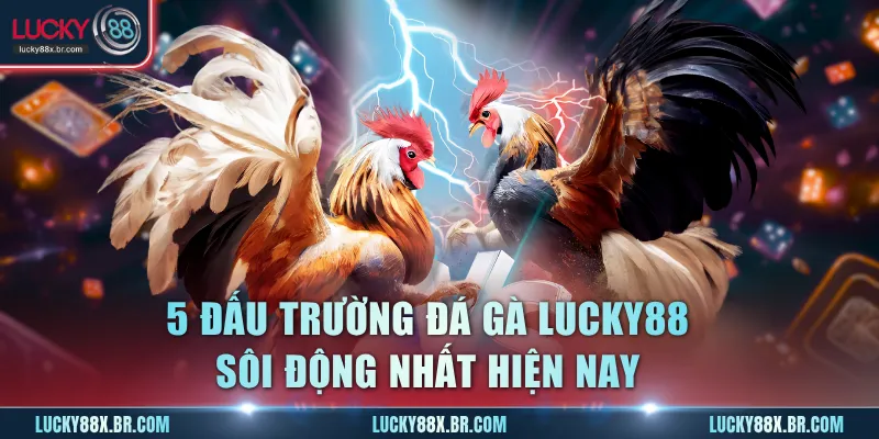 5 đấu trường đá gà Lucky88 sôi động nhất hiện nay