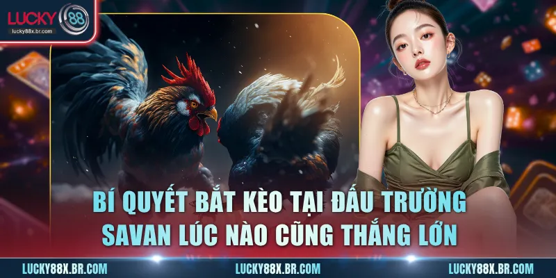 Bí quyết bắt kèo tại đấu trường Savan lúc nào cũng thắng lớn