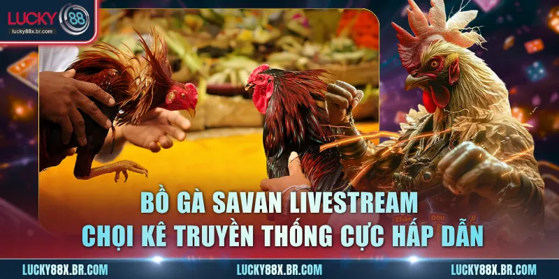 Bồ gà Savan livestream chọi kê truyền thống cực hấp dẫn