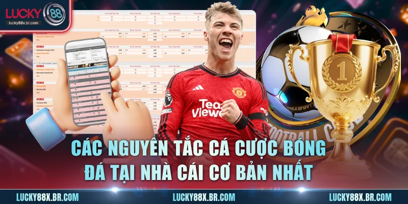 Các nguyên tắc cá cược bóng đá tại nhà cái cơ bản nhất