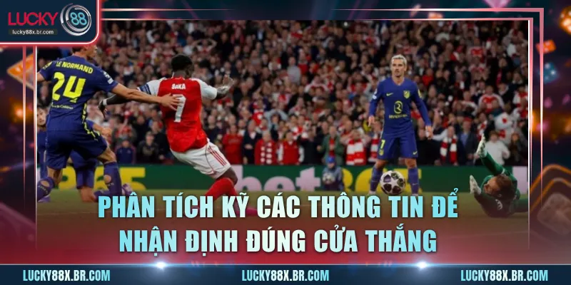 Phân tích kỹ các thông tin để nhận định đúng cửa thắng