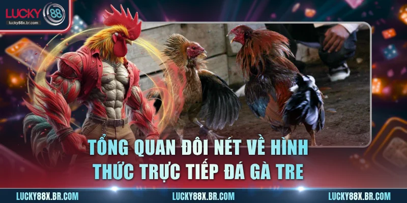 Tổng quan đôi nét về hình thức trực tiếp đá gà Tre