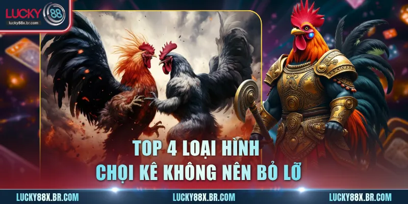 Top 4 loại hình chọi kê không nên bỏ lỡ
