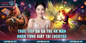 Trực Tiếp Đá gà Tre