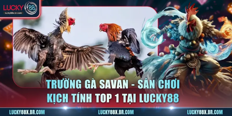 Trường Gà Savan
