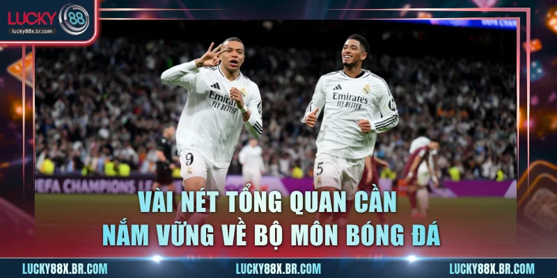 Vài nét tổng quan cần nắm vững về bộ môn bóng đá